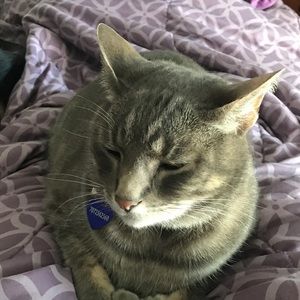 Meet your Posher, Molly